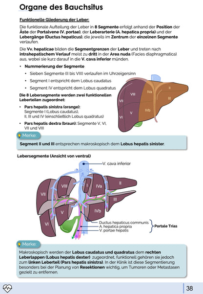 Anatomie & Physiologie-Bundle