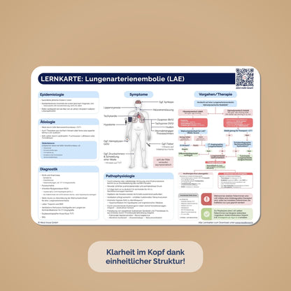TOP 60 Lernkarten - Krankheitsbilder auf einen Blick (ausgedruckt + Versand)