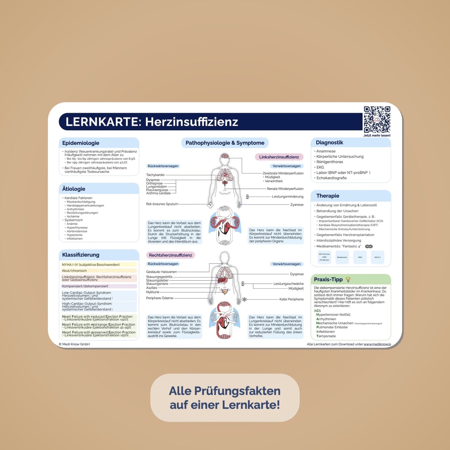 TOP 60 Lernkarten - Krankheitsbilder auf einen Blick (ausgedruckt + Versand)