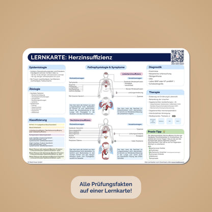 TOP 60 Lernkarten - Krankheitsbilder auf einen Blick (ausgedruckt + Versand)