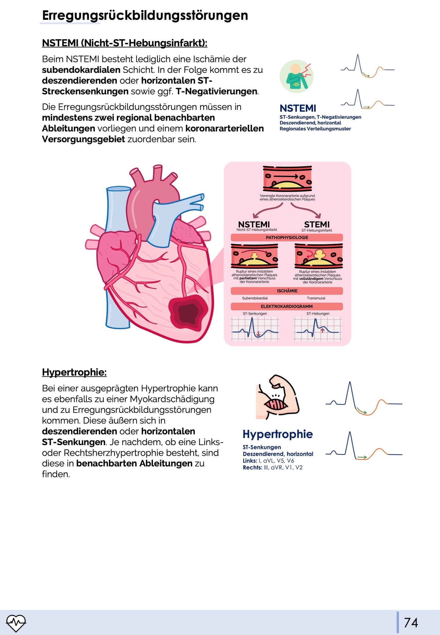 EKG-Premium-Bundle (33% off)