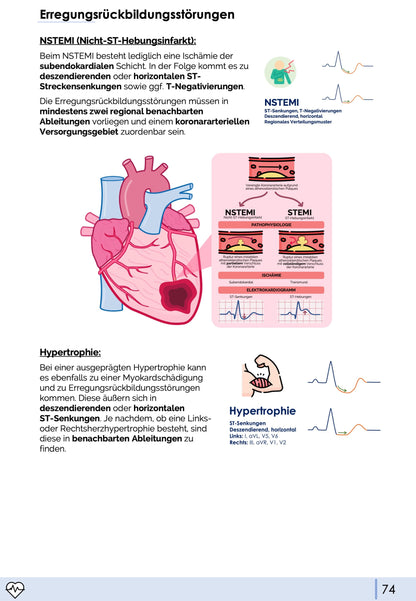 EKG-Premium-Bundle (33% off)
