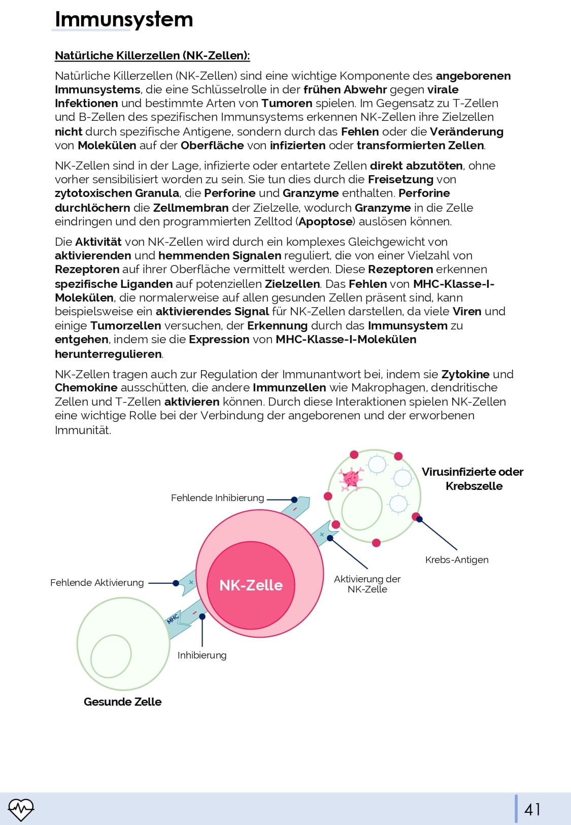 Physiologie-Skript Teil 4