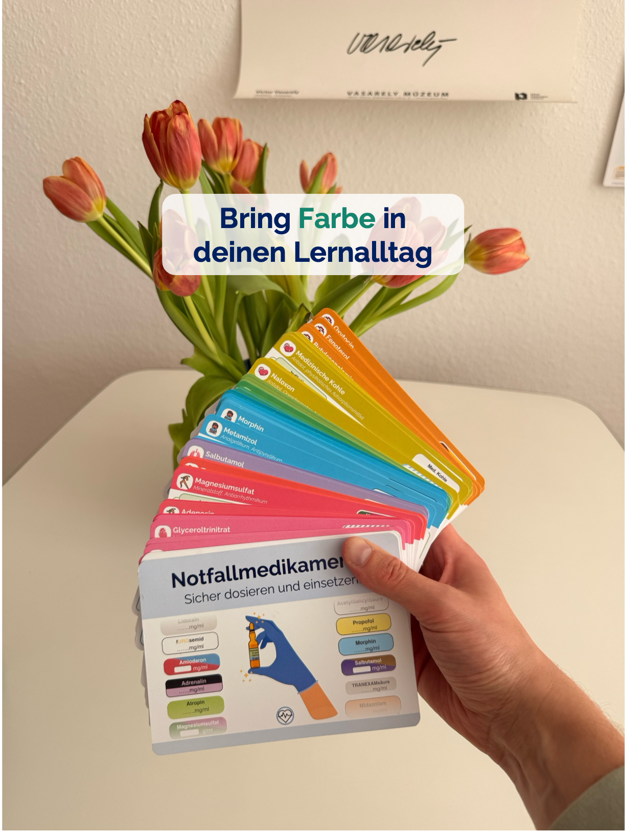 Notfallmedikamente – Lernkarten (ausgedruckt + Versand)