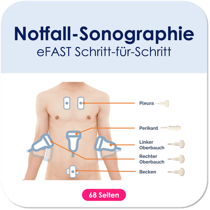 Notfall-Sonographie (eFAST)