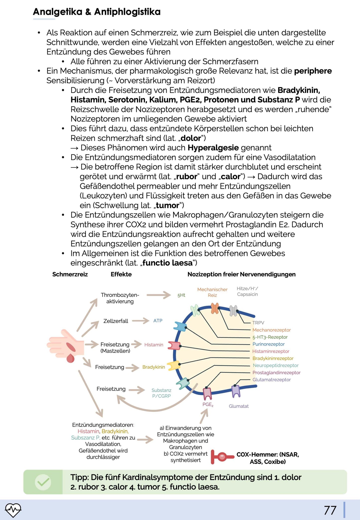 Pharmakologie Skript Teil 1