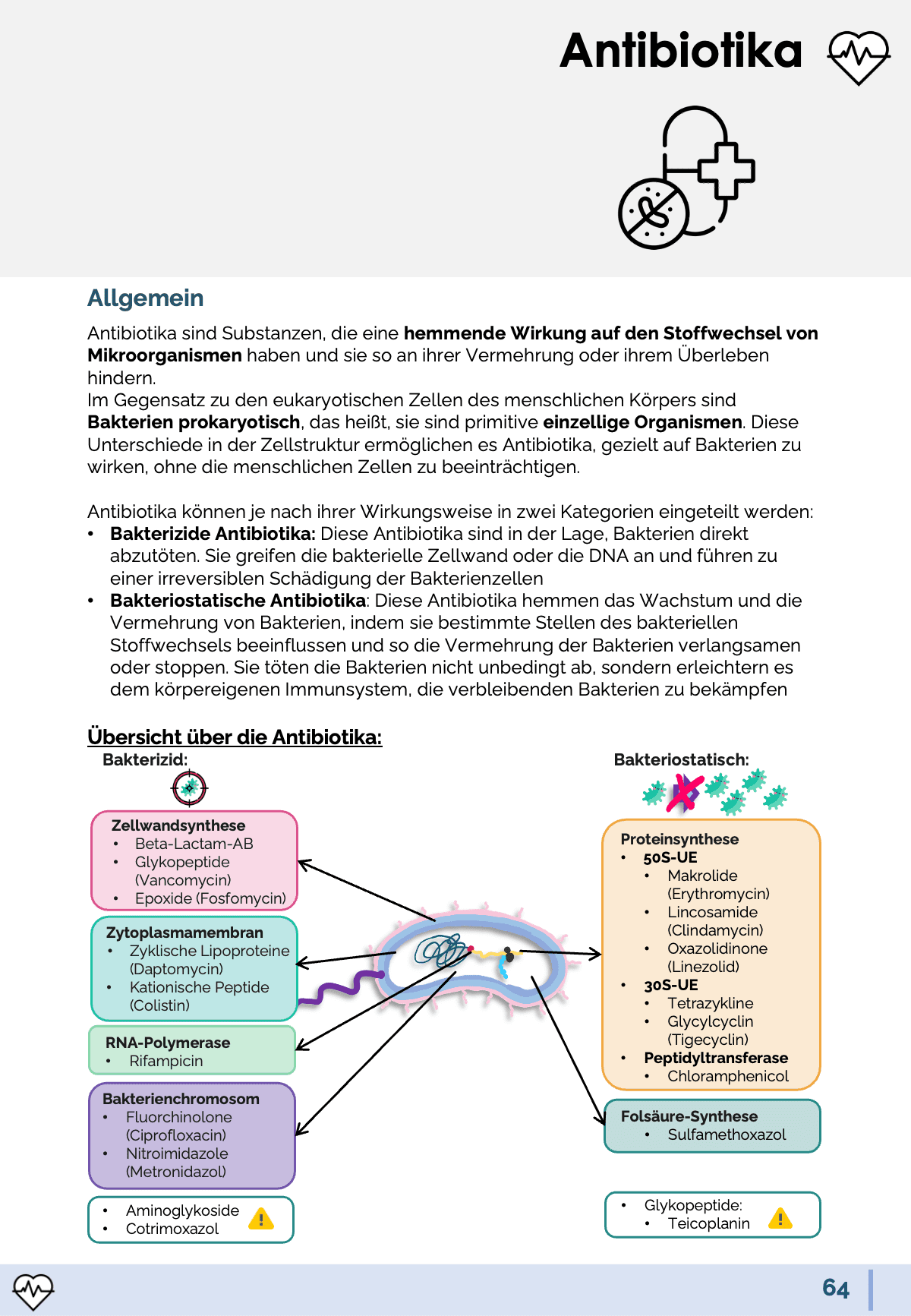 Pharmakologie-Skript Teil 2 - Medi Know