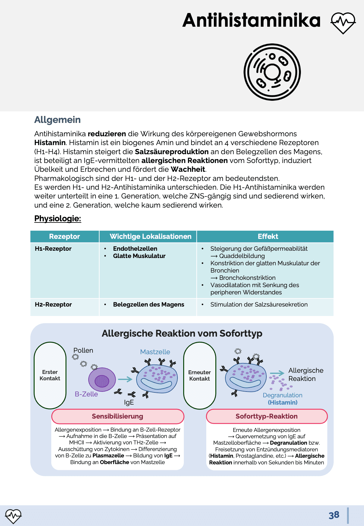 Pharmakologie-Skript Teil 2 - Medi Know