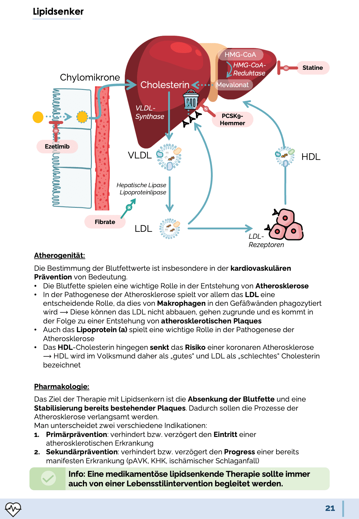 Pharmakologie-Skript Teil 2 - Medi Know