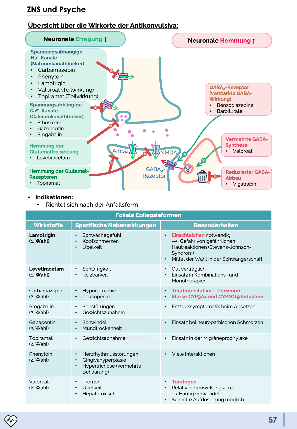 Pharmakologie-Skript Teil 2 - Medi Know