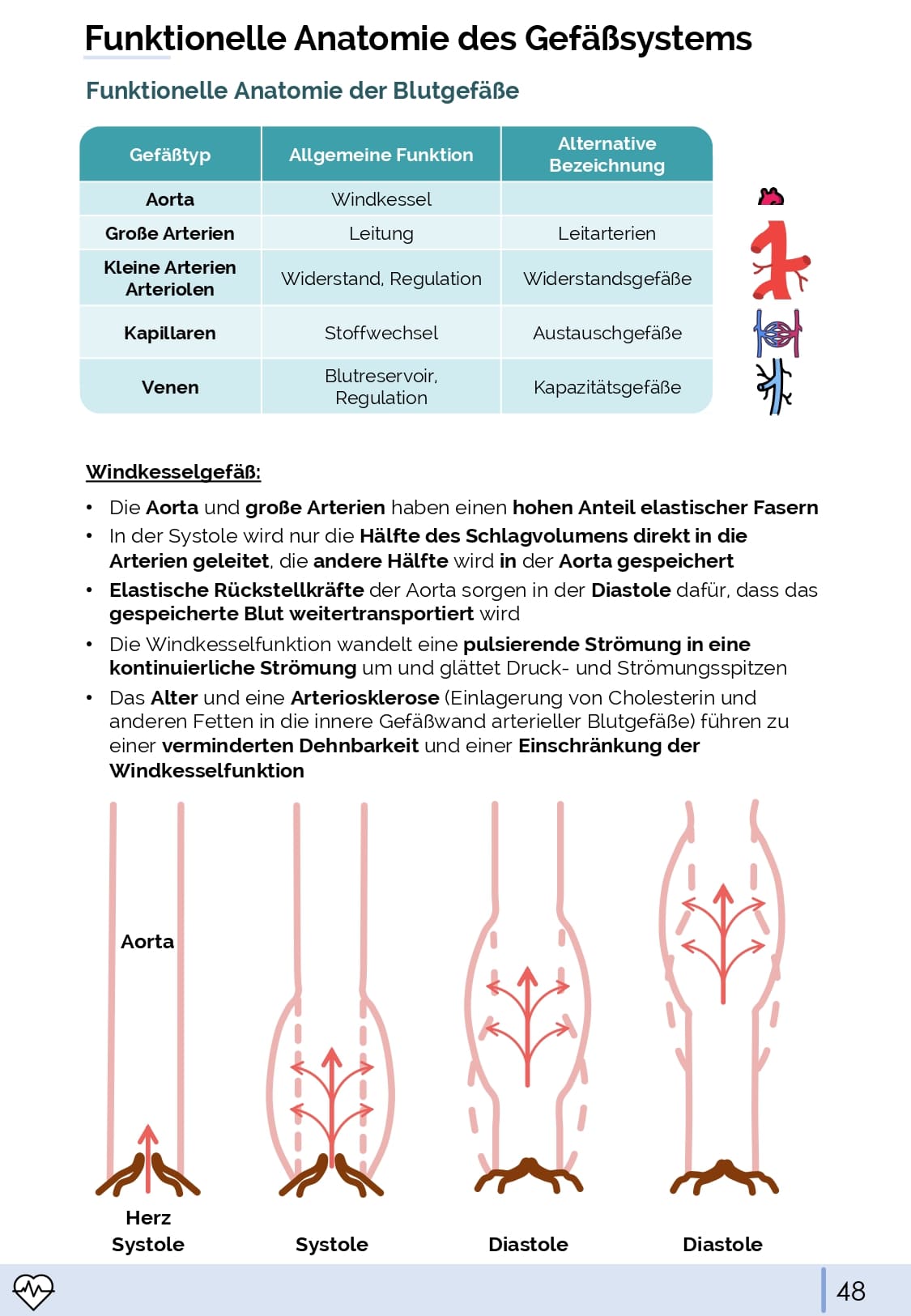 Physiologie-Skript Teil 1