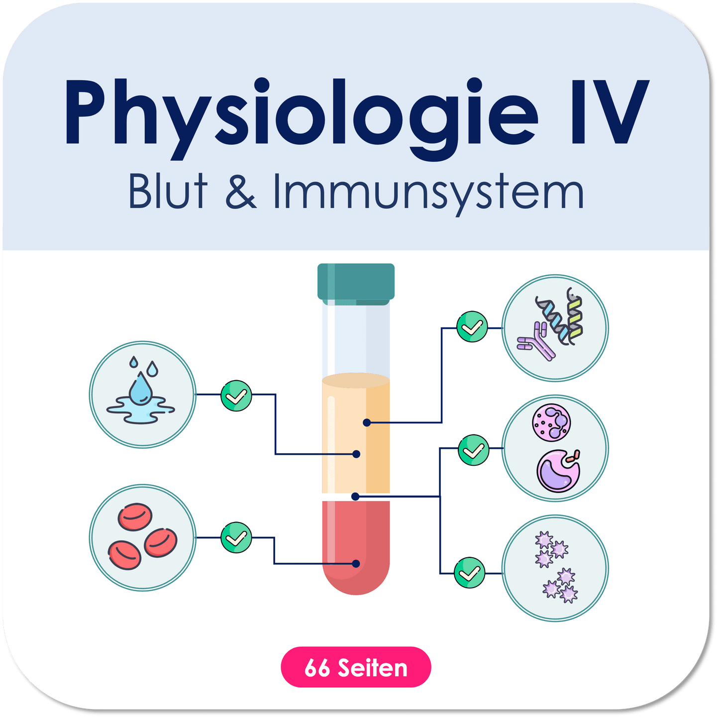 Physiologie-Skript Teil 4