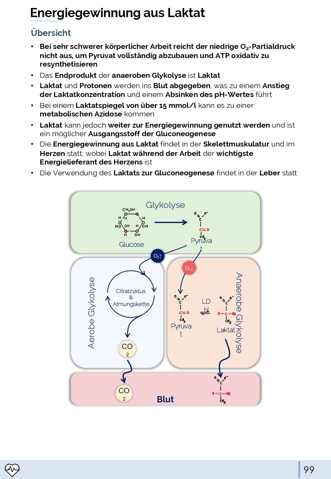 Physiologie-Skript Teil 1