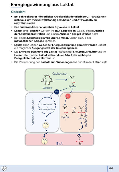 Physiologie-Skript Teil 1