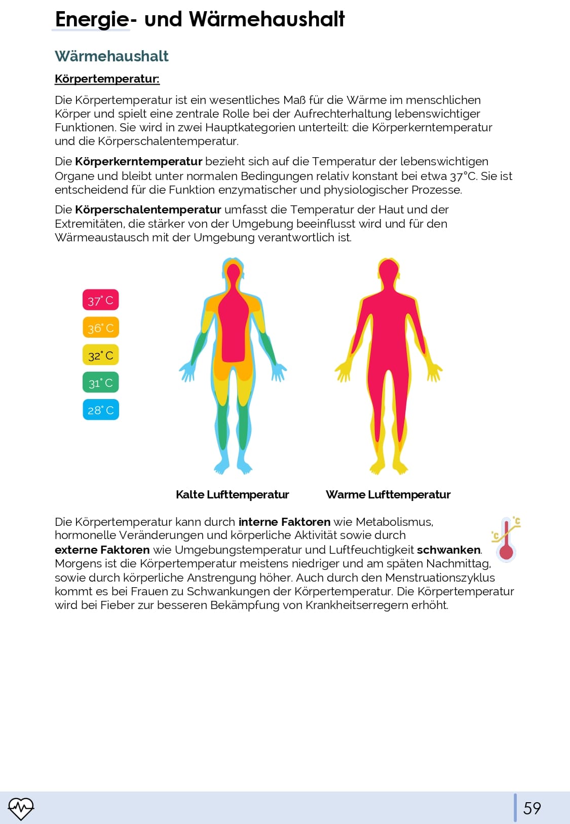 Physiologie-Skript Teil 4