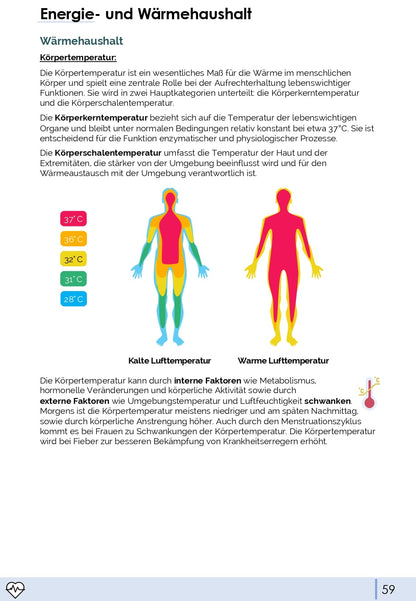 Physiologie-Skript Teil 4