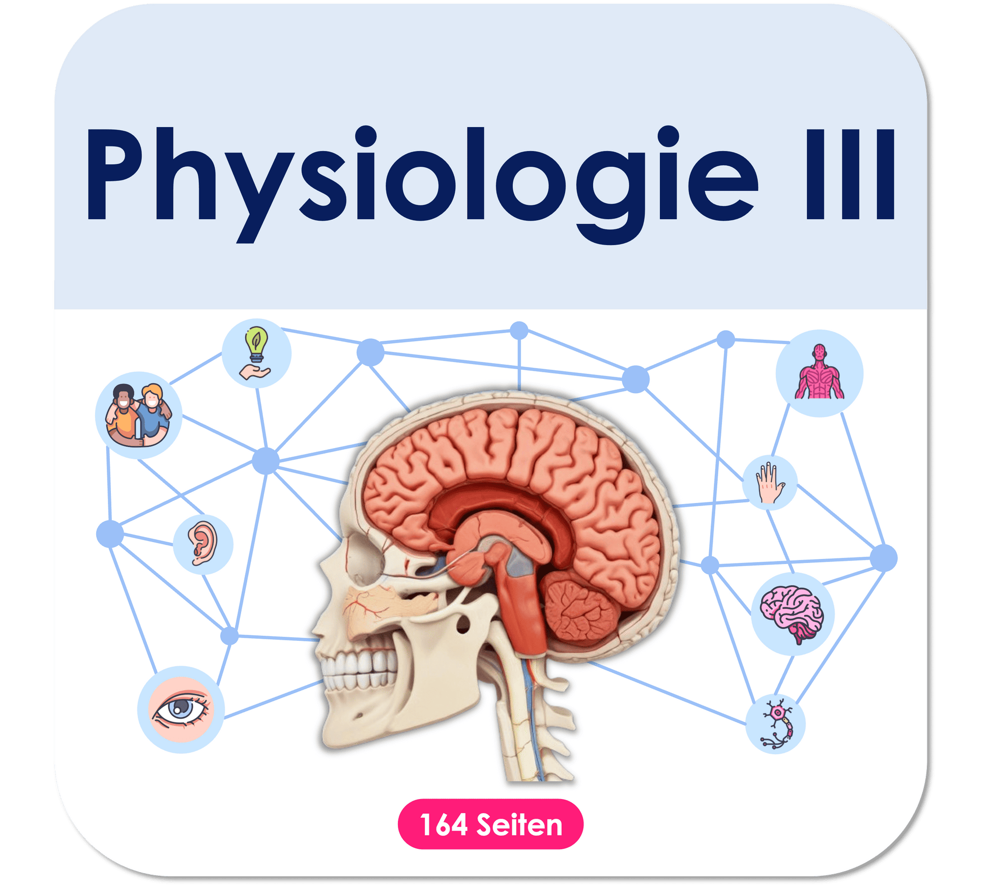Physiologie_Teil_3