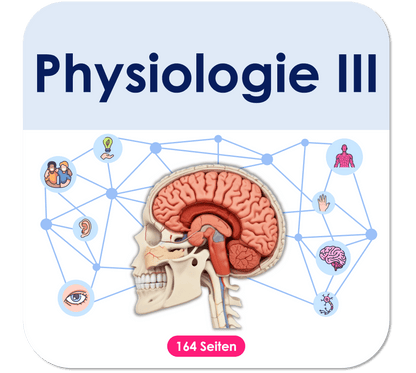 Physiologie_Teil_3