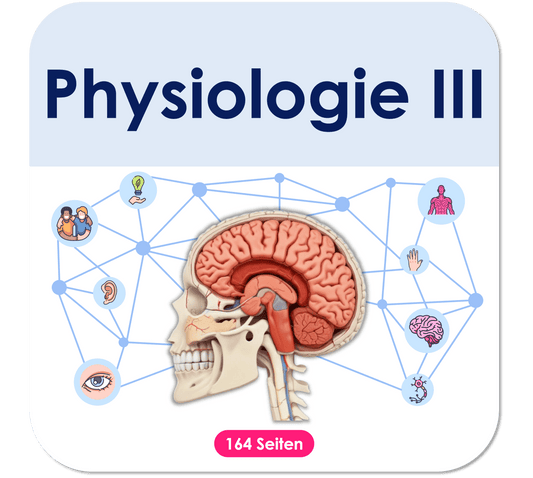 Physiologie_Teil_3