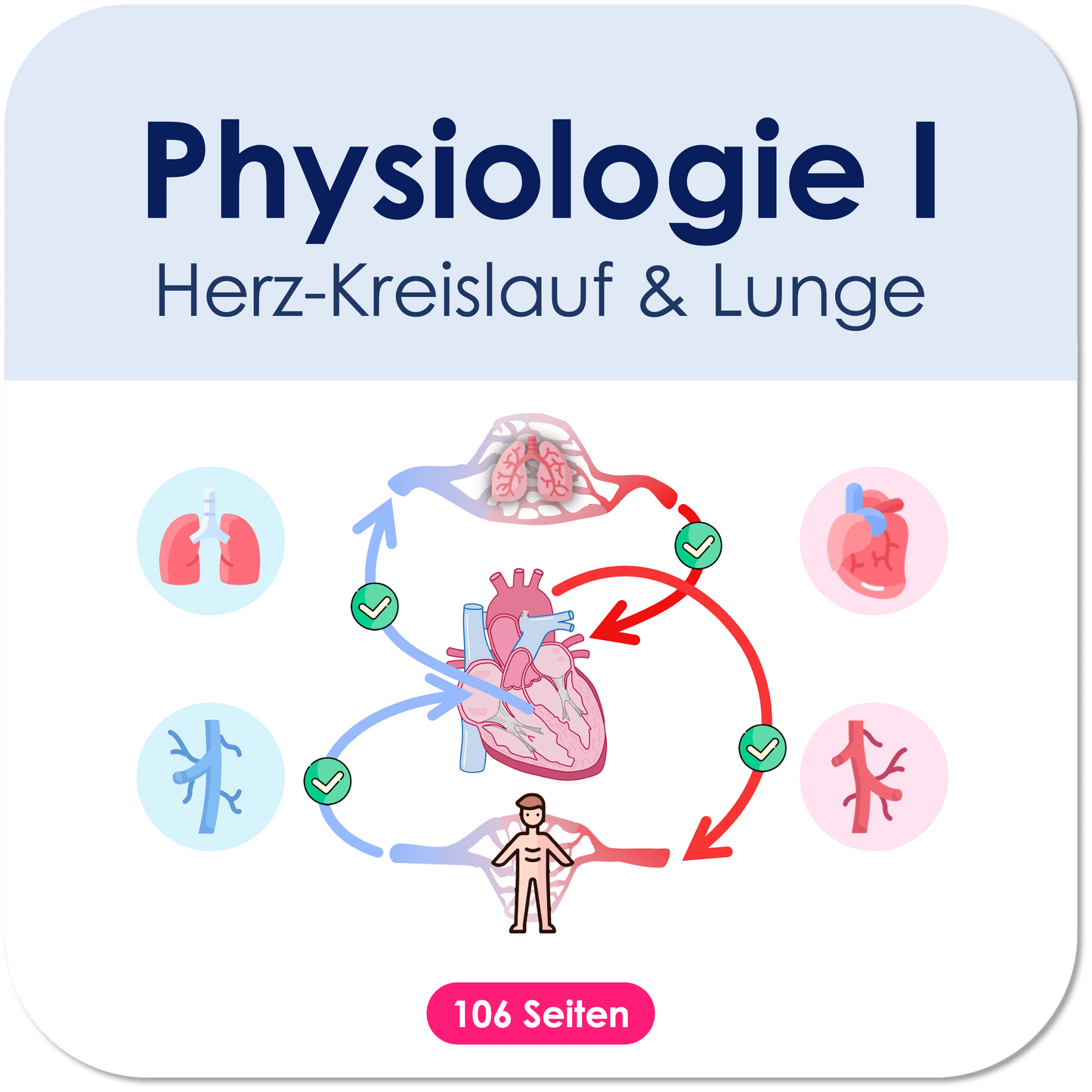 Physiologie-Skript Teil 1