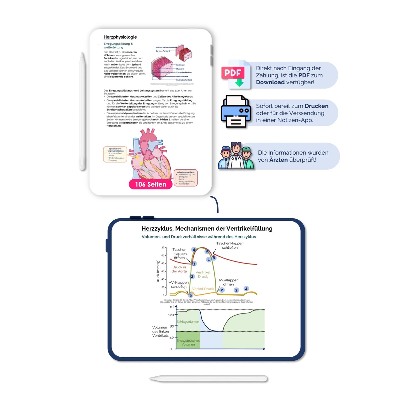 Physiologie-Skript Teil 1