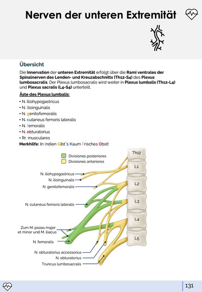 Anatomie I. - Allgemeine Anatomie und Bewegungsapparat