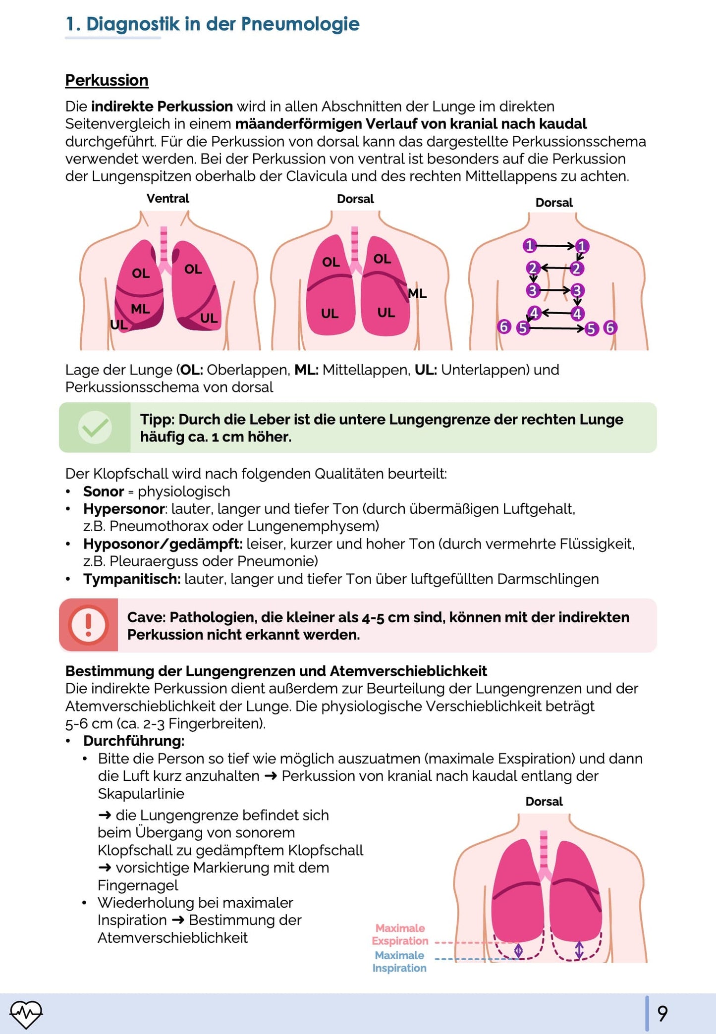 Pneumologie-Skript