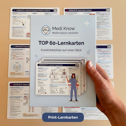 TOP 60 Lernkarten - Krankheitsbilder auf einen Blick (ausgedruckt + Versand)