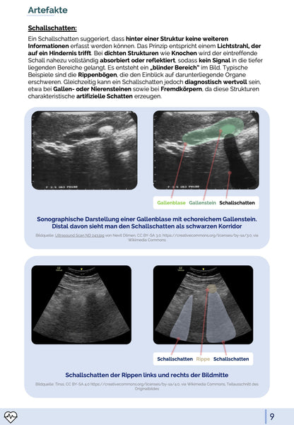 Notfall-Sonographie (eFAST)
