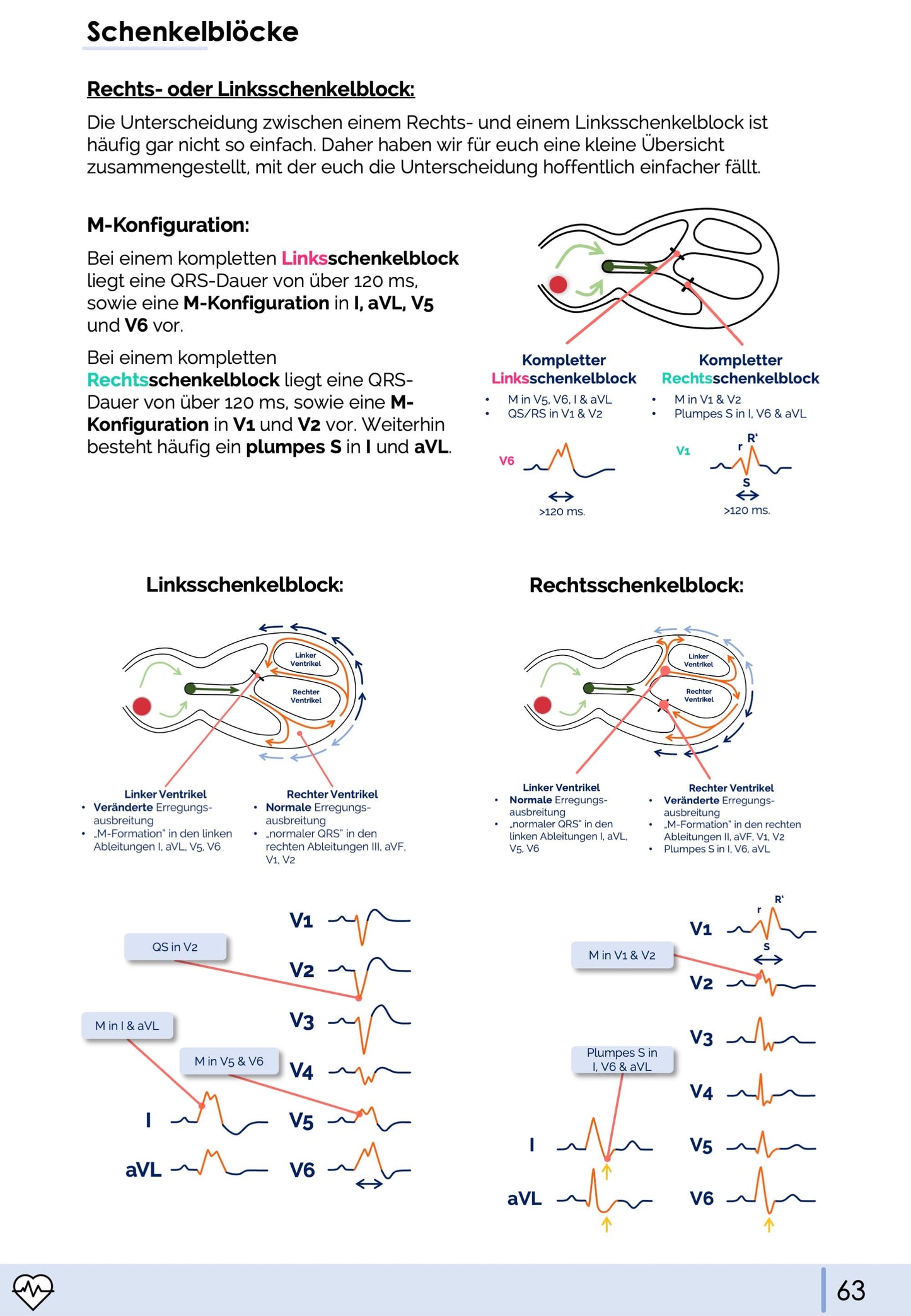 EKG-Premium-Bundle (33% off)