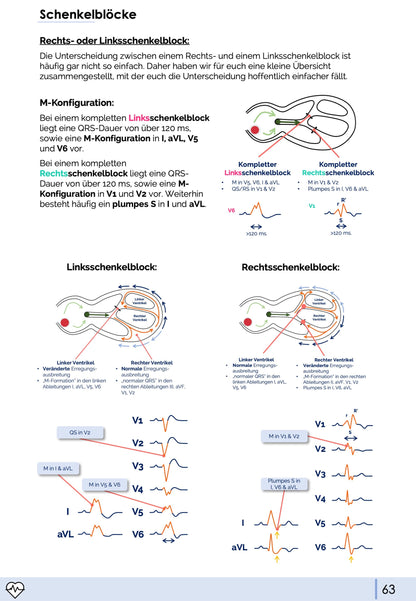 EKG-Premium-Bundle (33% off)
