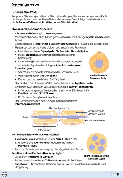 Histologie-Skript - Zytologie und Gewebelehre