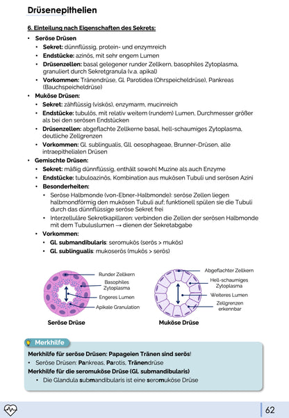 Histologie-Skript - Zytologie und Gewebelehre