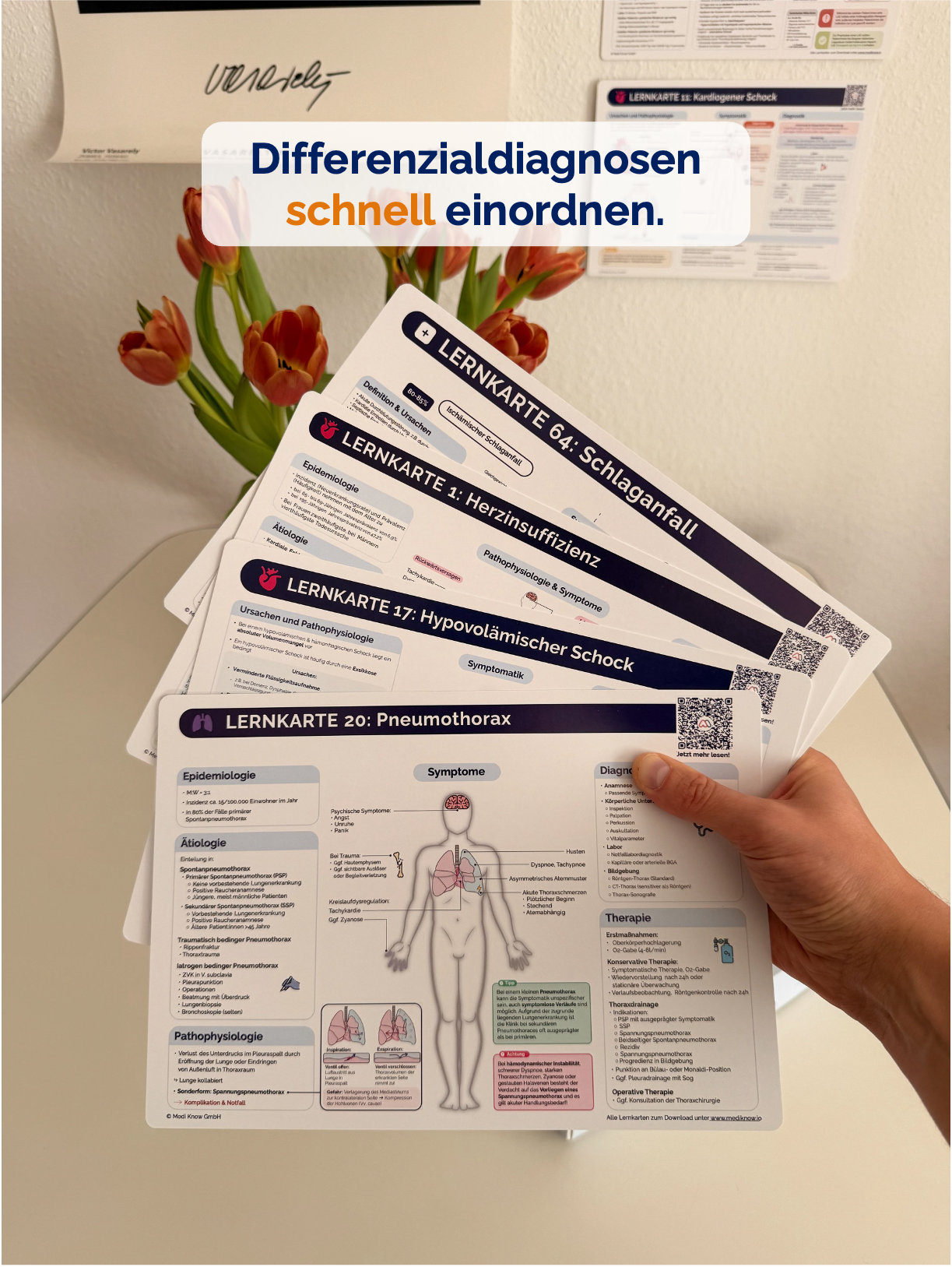 TOP 60 Lernkarten - Krankheitsbilder auf einen Blick (ausgedruckt + Versand)