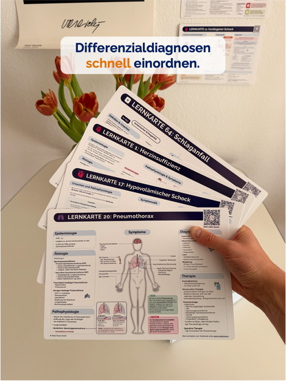 TOP 60 Lernkarten - Krankheitsbilder auf einen Blick (ausgedruckt + Versand)