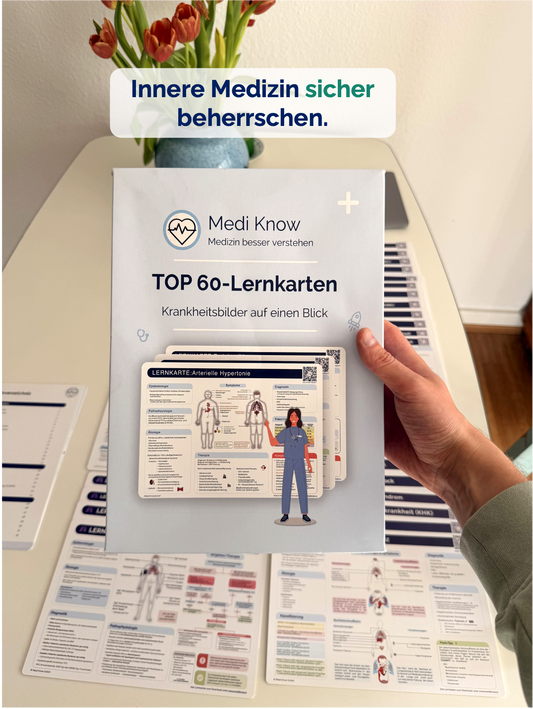 TOP 60 Lernkarten - Krankheitsbilder auf einen Blick (ausgedruckt + Versand)