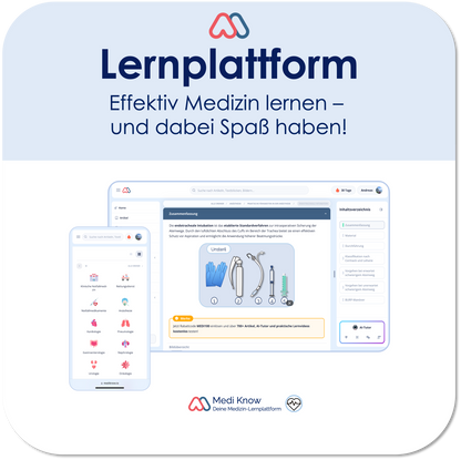 FREE GIFT | Sonderrabatt für unsere Lernplattform