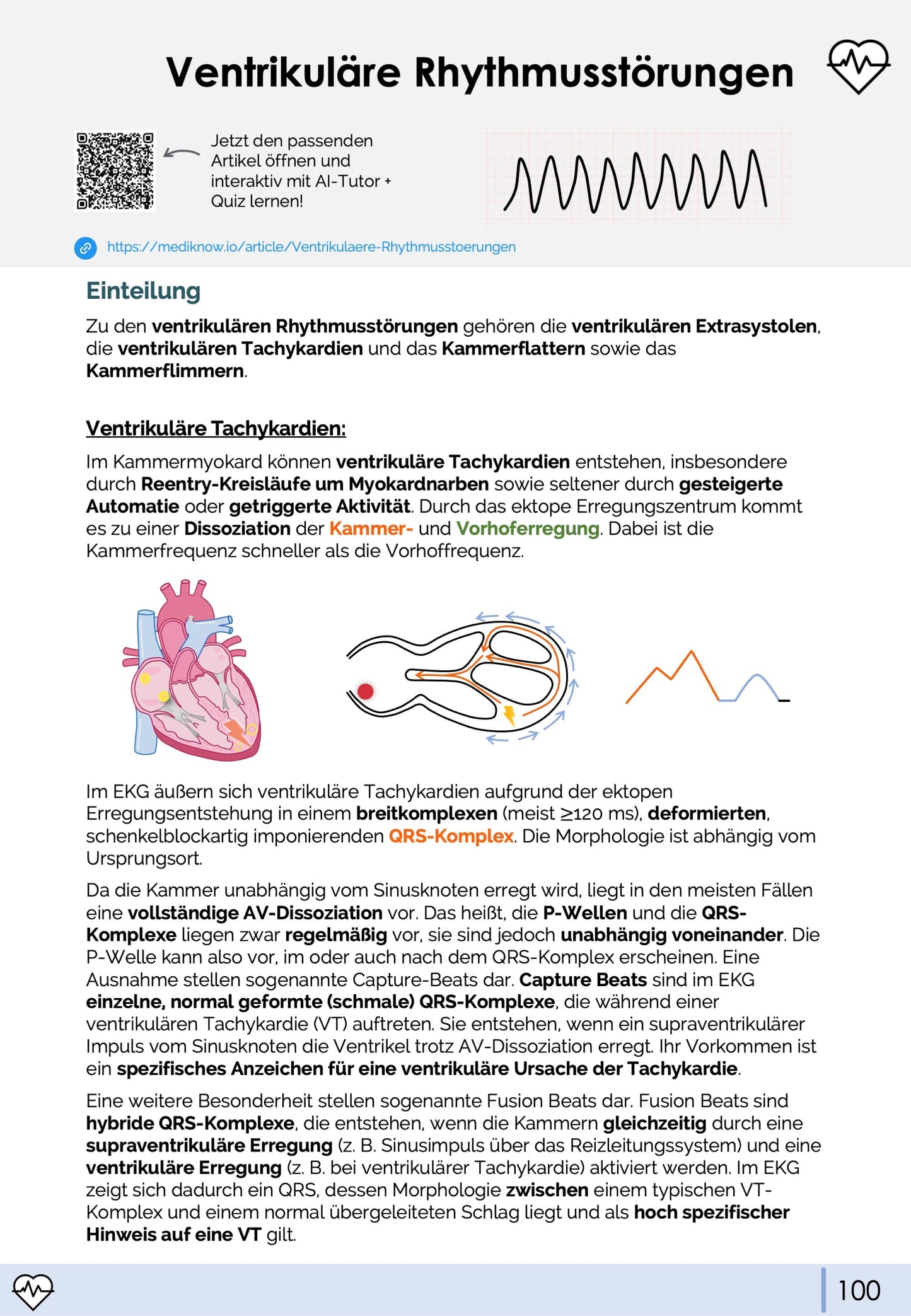 EKG-Skript (3. neue Auflage 02/2026)