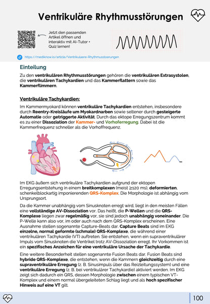 EKG-Premium-Bundle (33% off)