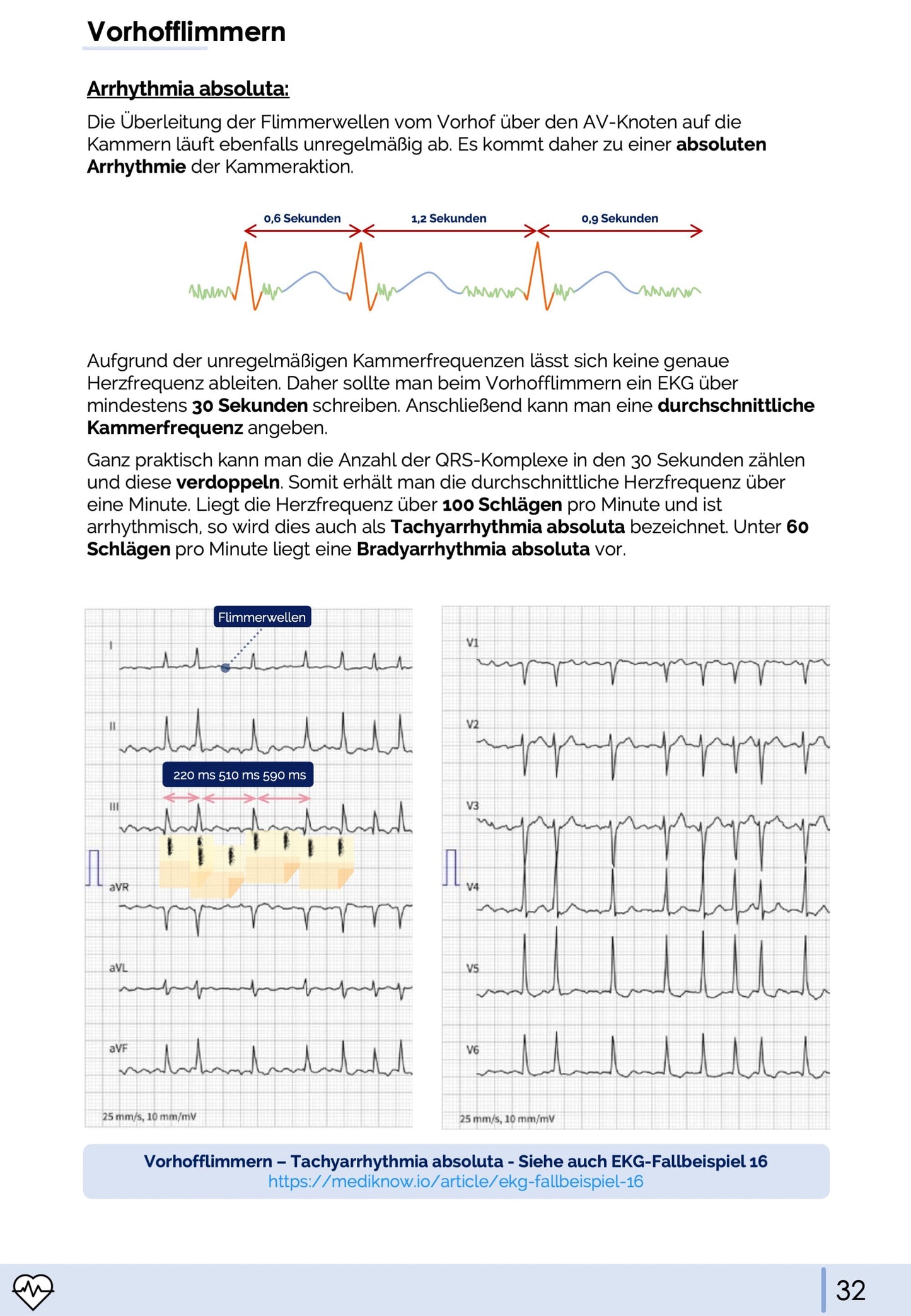 EKG-Premium-Bundle (33% off)