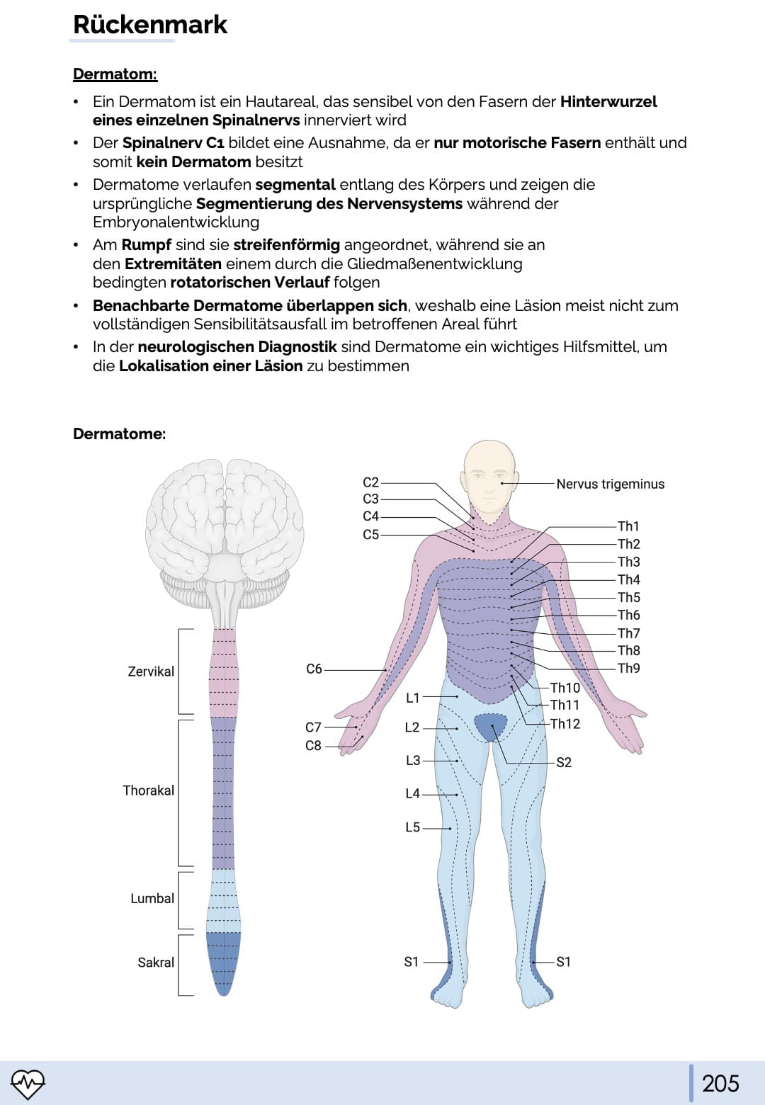 Anatomie & Physiologie-Bundle
