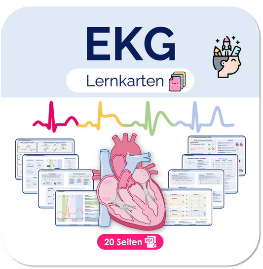 EKG-Lernkarten Übersichten Medi Know 