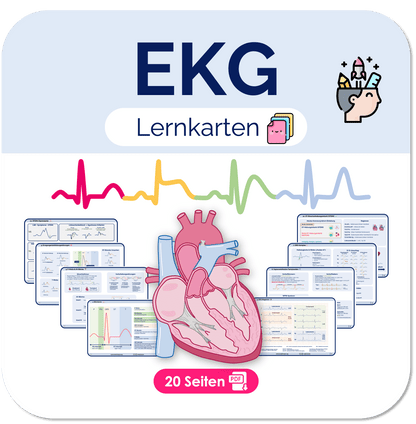 EKG-Lernkarten Übersichten Medi Know 