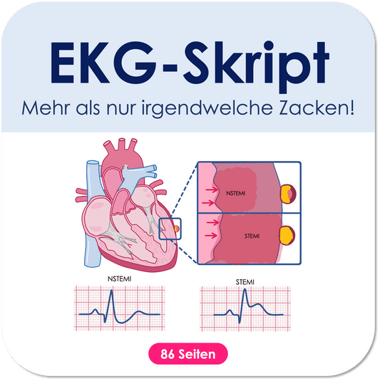 EKG-Skript Skript Medi Know 