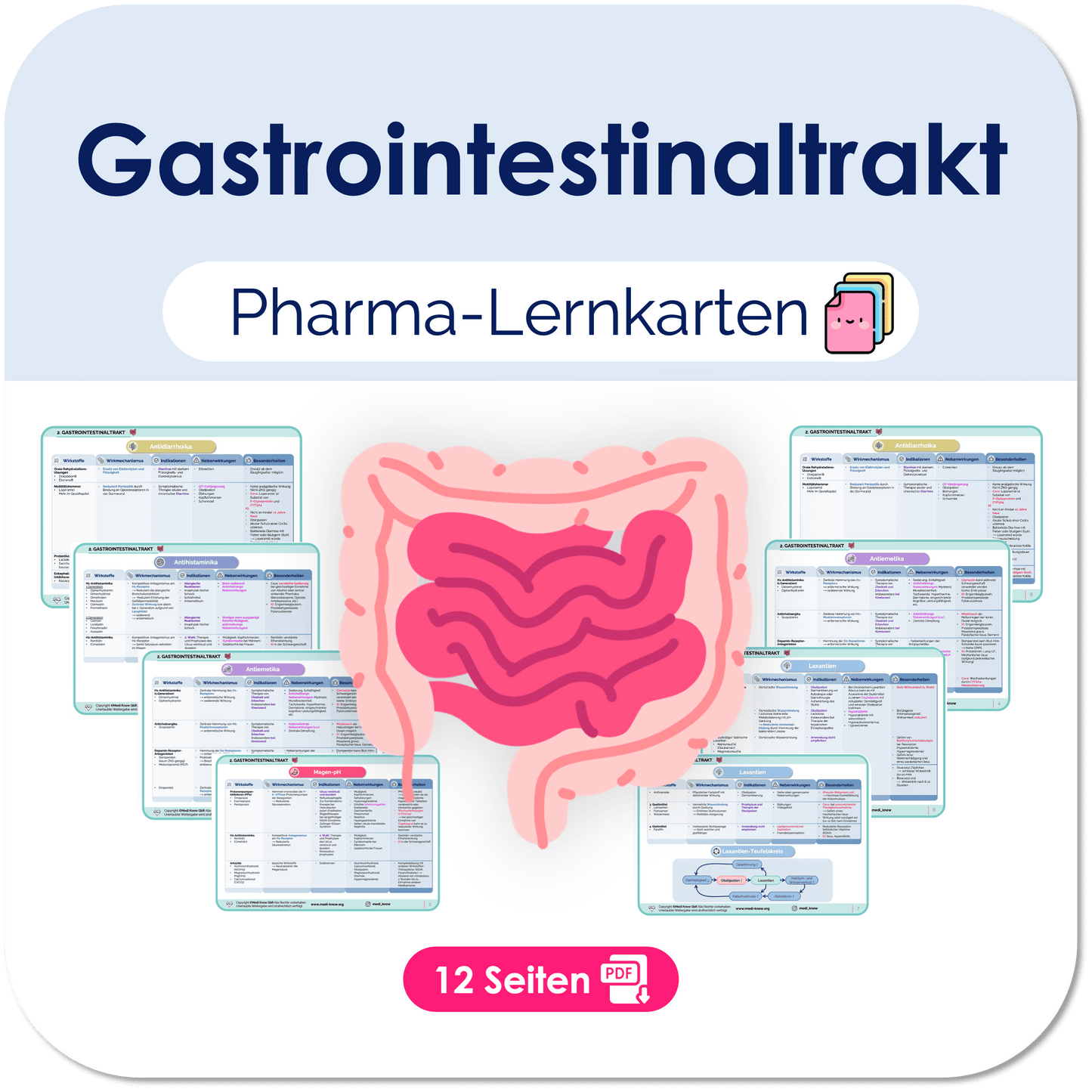 Gatrointestinaltrakt – Pharma-Lernkarten Übersichten Medi Know 