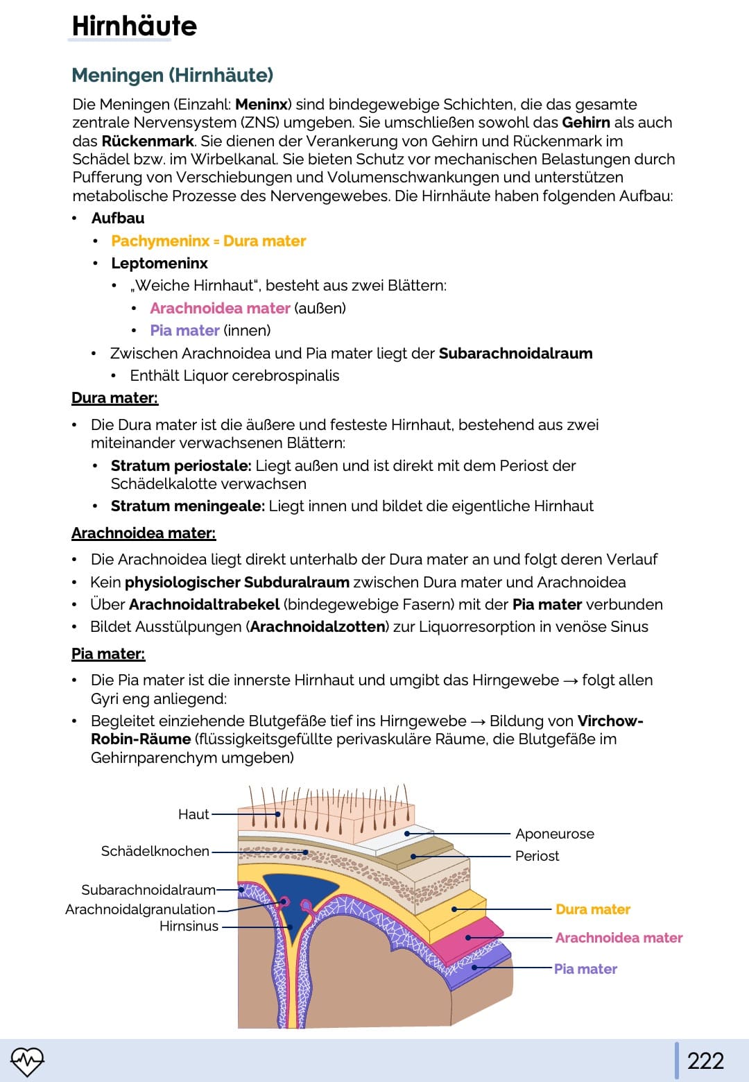 Anatomie & Physiologie-Bundle