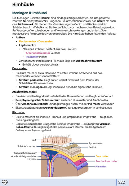 Anatomie & Physiologie-Bundle