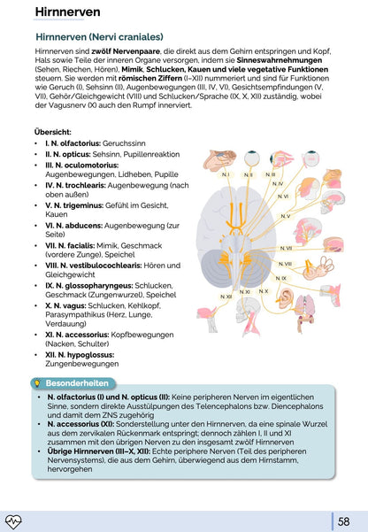 Anatomie & Physiologie-Bundle