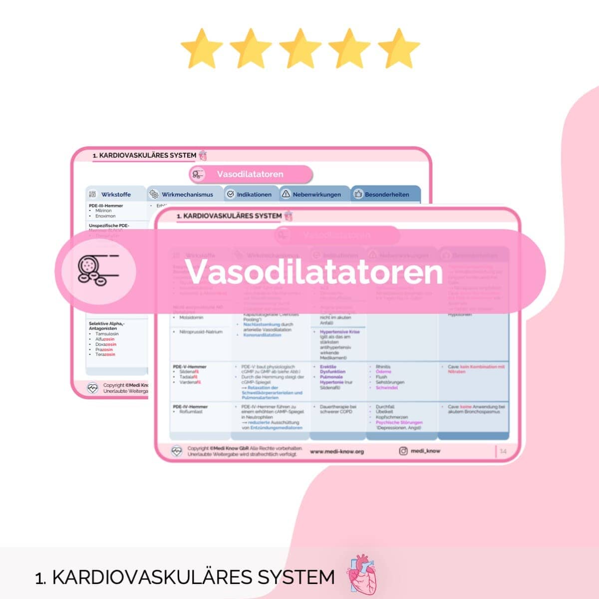 Kardiovaskuläres System – Pharma-Lernkarten Übersichten Medi Know 