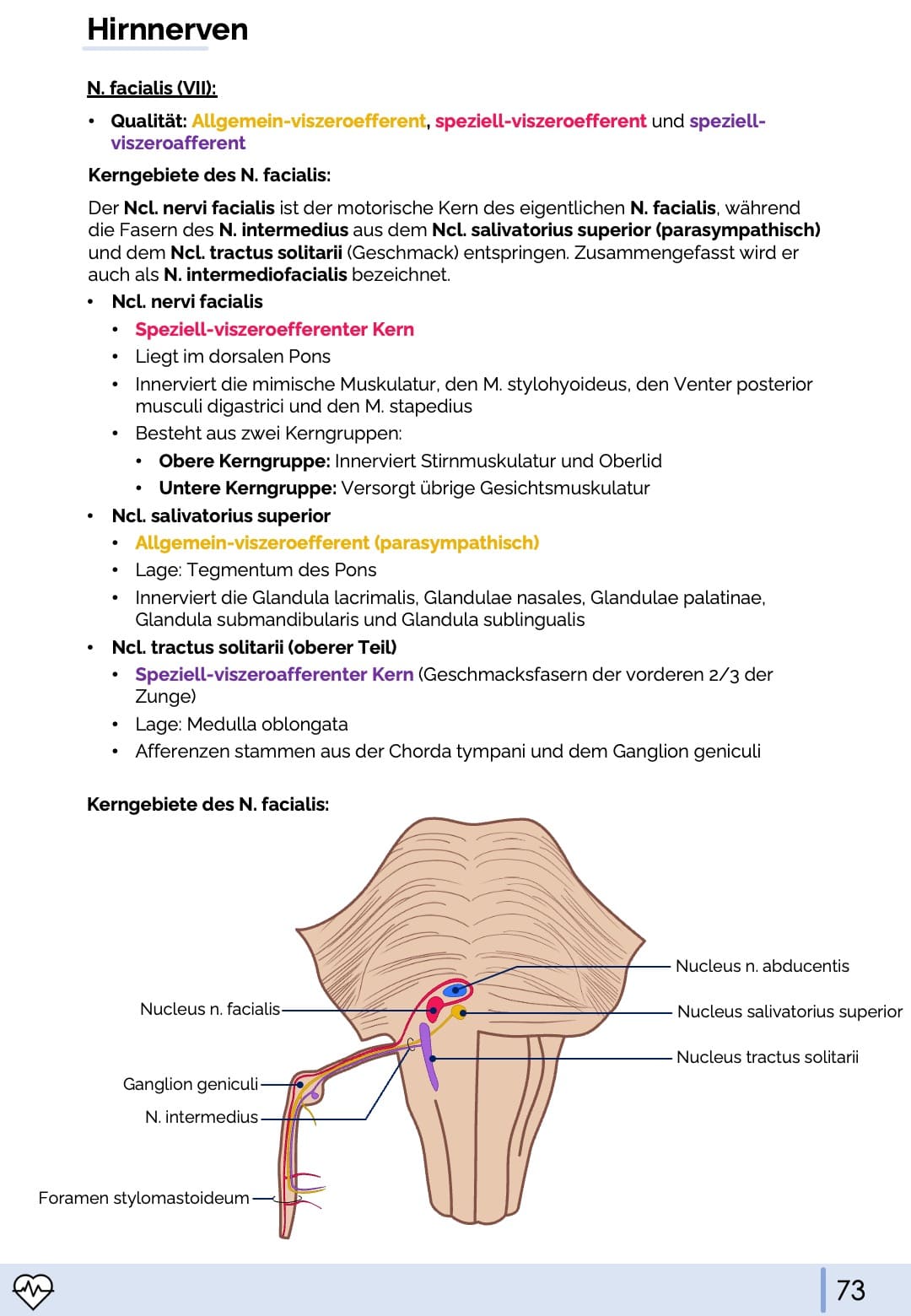 Anatomie & Physiologie-Bundle